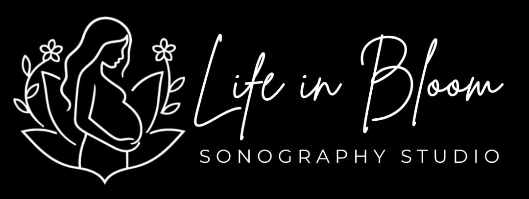 Life in Bloom Sonography Studio logo